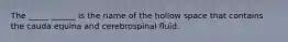 The _____ ______ is the name of the hollow space that contains the cauda equina and cerebrospinal fluid.