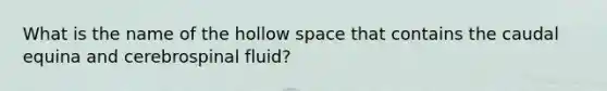 What is the name of the hollow space that contains the caudal equina and cerebrospinal fluid?