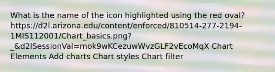 What is the name of the icon highlighted using the red oval? https://d2l.arizona.edu/content/enforced/810514-277-2194-1MIS112001/Chart_basics.png?_&d2lSessionVal=mok9wKCezuwWvzGLF2vEcoMqX Chart Elements Add charts Chart styles Chart filter