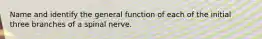 Name and identify the general function of each of the initial three branches of a spinal nerve.