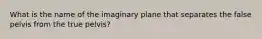 What is the name of the imaginary plane that separates the false pelvis from the true pelvis?