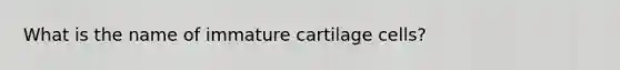 What is the name of immature cartilage cells?