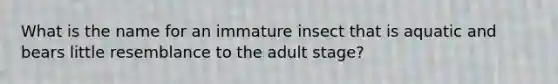 What is the name for an immature insect that is aquatic and bears little resemblance to the adult stage?