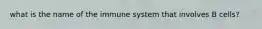 what is the name of the immune system that involves B cells?