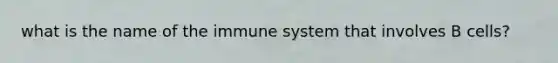 what is the name of the immune system that involves B cells?