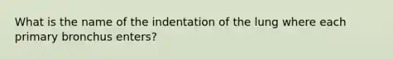 What is the name of the indentation of the lung where each primary bronchus enters?