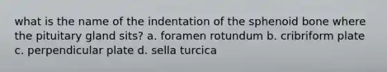 what is the name of the indentation of the sphenoid bone where the pituitary gland sits? a. foramen rotundum b. cribriform plate c. perpendicular plate d. sella turcica