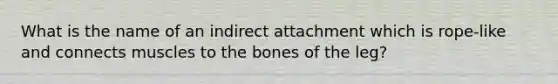 What is the name of an indirect attachment which is rope-like and connects muscles to the bones of the leg?