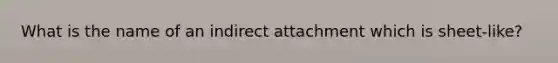 What is the name of an indirect attachment which is sheet-like?