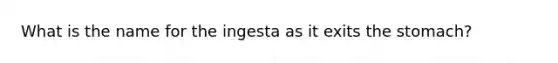 What is the name for the ingesta as it exits the stomach?