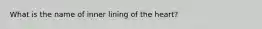 What is the name of inner lining of the heart?