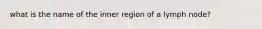 what is the name of the inner region of a lymph node?