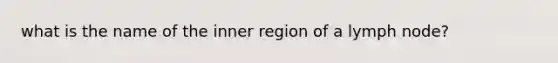 what is the name of the inner region of a lymph node?