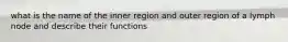 what is the name of the inner region and outer region of a lymph node and describe their functions