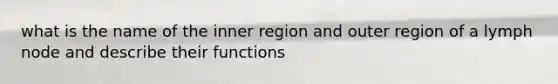 what is the name of the inner region and outer region of a lymph node and describe their functions