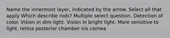 Name the innermost layer, indicated by the arrow. Select all that apply Which describe rods? Multiple select question. Detection of color. Vision in dim light. Vision in bright light. More sensitive to light. retina posterior chamber iris cornea