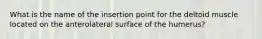 What is the name of the insertion point for the deltoid muscle located on the anterolateral surface of the humerus?