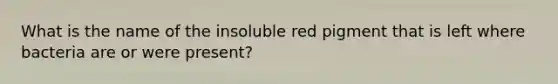 What is the name of the insoluble red pigment that is left where bacteria are or were present?