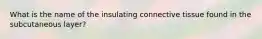 What is the name of the insulating connective tissue found in the subcutaneous layer?