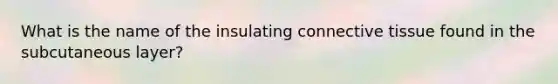 What is the name of the insulating connective tissue found in the subcutaneous layer?