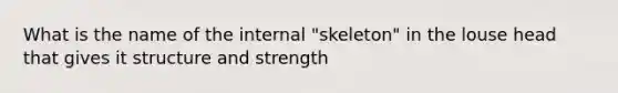 What is the name of the internal "skeleton" in the louse head that gives it structure and strength