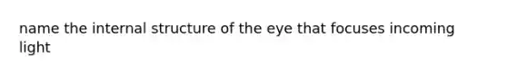 name the internal structure of the eye that focuses incoming light