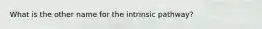 What is the other name for the intrinsic pathway?