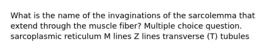 What is the name of the invaginations of the sarcolemma that extend through the muscle fiber? Multiple choice question. sarcoplasmic reticulum M lines Z lines transverse (T) tubules