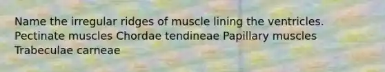 Name the irregular ridges of muscle lining the ventricles. Pectinate muscles Chordae tendineae Papillary muscles Trabeculae carneae