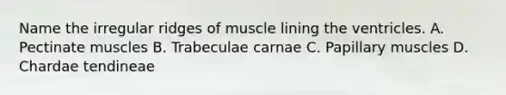 Name the irregular ridges of muscle lining the ventricles. A. Pectinate muscles B. Trabeculae carnae C. Papillary muscles D. Chardae tendineae