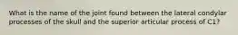 What is the name of the joint found between the lateral condylar processes of the skull and the superior articular process of C1?