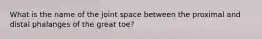 What is the name of the joint space between the proximal and distal phalanges of the great toe?