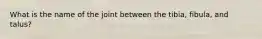 What is the name of the joint between the tibia, fibula, and talus?