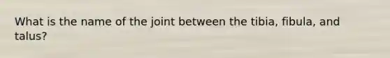 What is the name of the joint between the tibia, fibula, and talus?