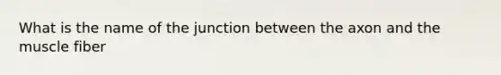 What is the name of the junction between the axon and the muscle fiber