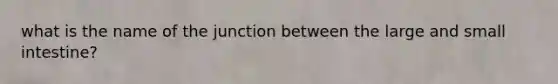 what is the name of the junction between the large and small intestine?