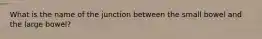 What is the name of the junction between the small bowel and the large bowel?