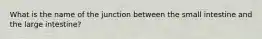 What is the name of the junction between the small intestine and the large intestine?