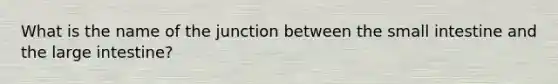 What is the name of the junction between the small intestine and the large intestine?