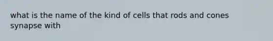 what is the name of the kind of cells that rods and cones synapse with