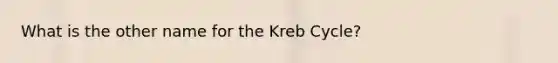 What is the other name for the Kreb Cycle?