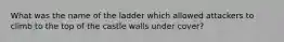 What was the name of the ladder which allowed attackers to climb to the top of the castle walls under cover?