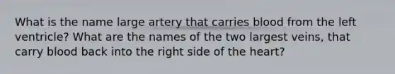 What is the name large artery that carries blood from the left ventricle? What are the names of the two largest veins, that carry blood back into the right side of <a href='https://www.questionai.com/knowledge/kya8ocqc6o-the-heart' class='anchor-knowledge'>the heart</a>?