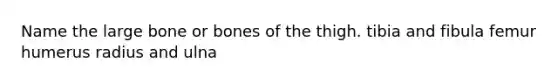 Name the large bone or bones of the thigh. tibia and fibula femur humerus radius and ulna