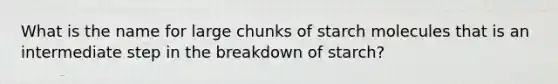 What is the name for large chunks of starch molecules that is an intermediate step in the breakdown of starch?