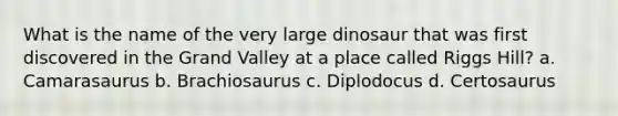 What is the name of the very large dinosaur that was first discovered in the Grand Valley at a place called Riggs Hill? a. Camarasaurus b. Brachiosaurus c. Diplodocus d. Certosaurus