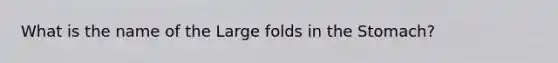 What is the name of the Large folds in <a href='https://www.questionai.com/knowledge/kLccSGjkt8-the-stomach' class='anchor-knowledge'>the stomach</a>?