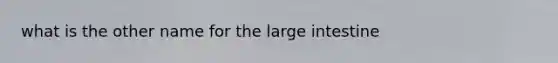 what is the other name for the large intestine