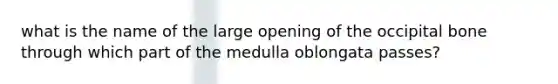 what is the name of the large opening of the occipital bone through which part of the medulla oblongata passes?