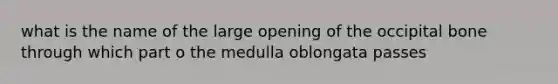 what is the name of the large opening of the occipital bone through which part o the medulla oblongata passes